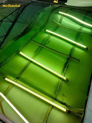 좋은 가격 녹색 거울 컬러 시트 Pvd 코팅 장식 스테인리스 스틸 판 온라인으로