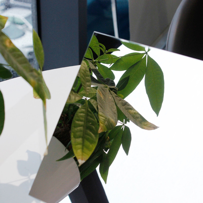 Mirror Finish Decorative Stainless Steel Sheet 1219*2438mm